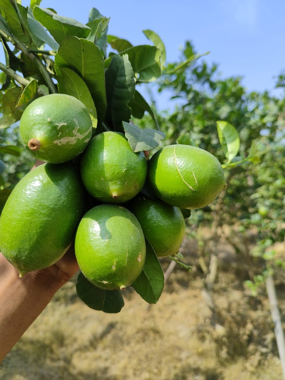 70062ca6-4a40-4898-8f16-81d741225c18