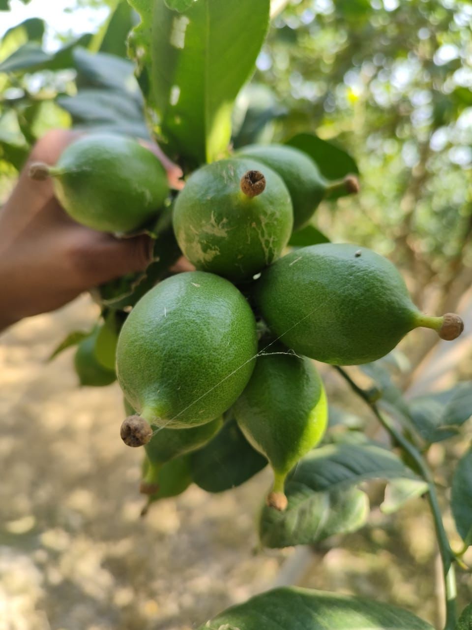 85ad3dea-fed1-49c6-90d0-29c9f5d3d356